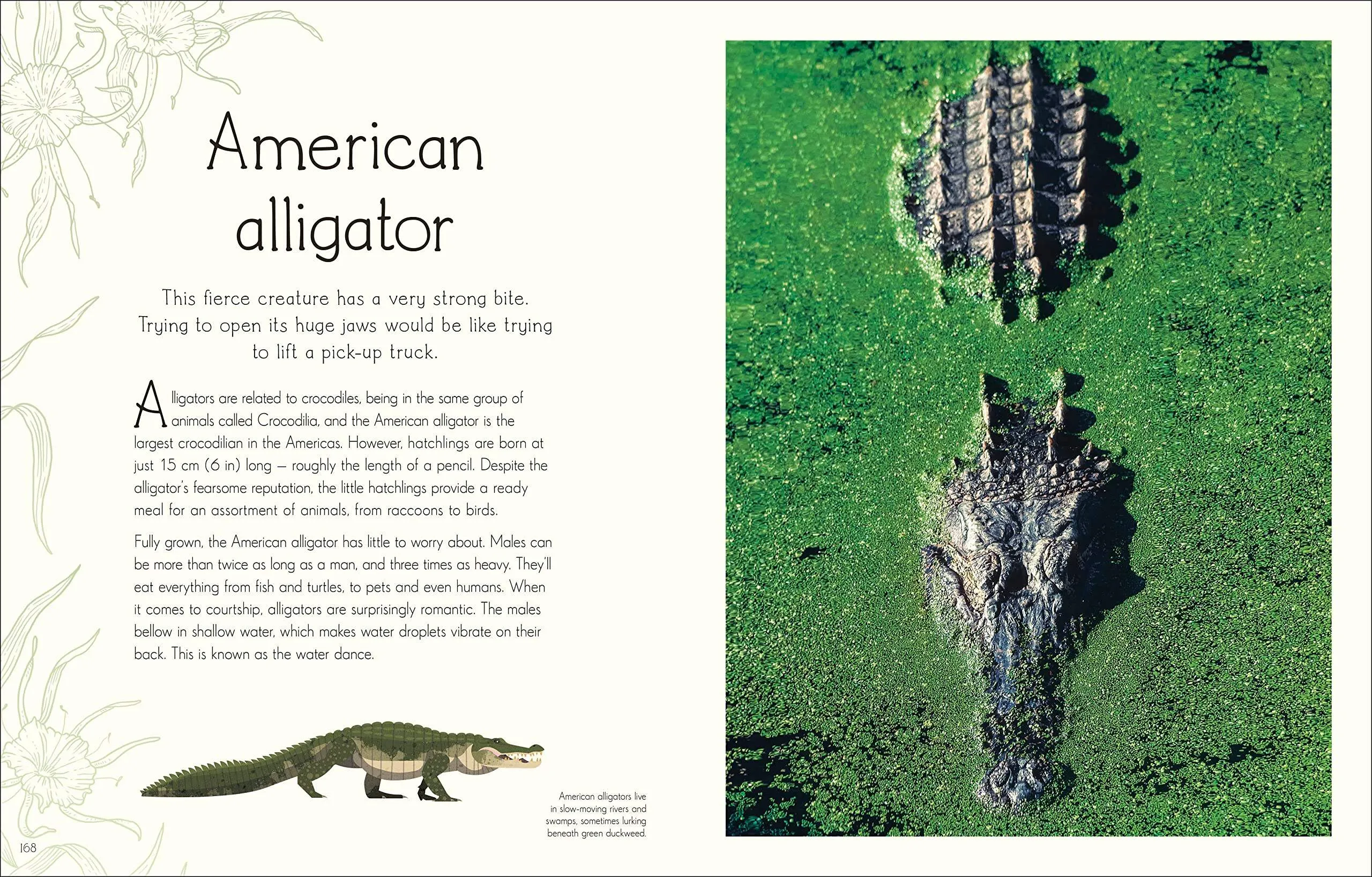 An Anthology of Aquatic Life