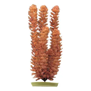 Aquascaper Foxtail Medium 8 in