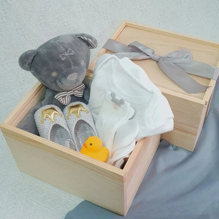 Baby Gift Set: Little Explorer (Klang Valley Delivery)