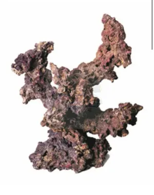 Caribsea Life Rock Reef Tree