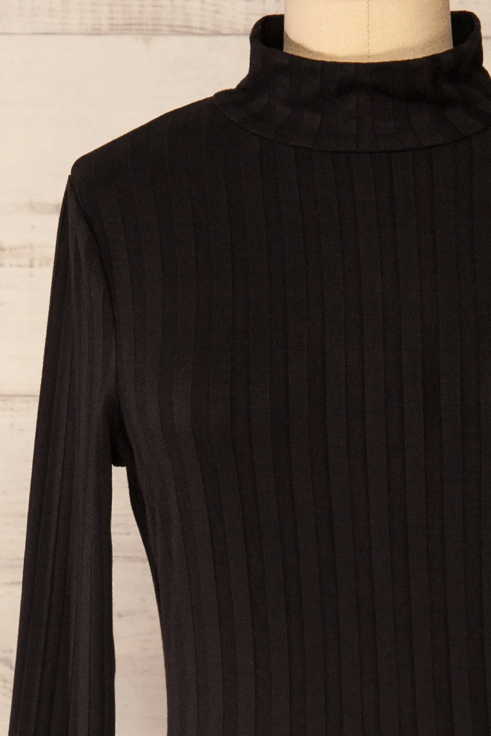 Kalani Black | Short Fitted Dress w/ Mock Neck