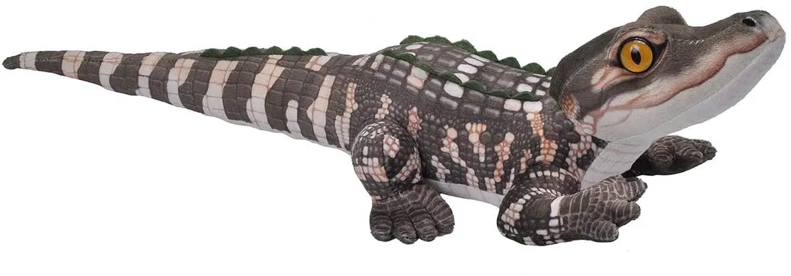 MIni Living Stream Baby Alligator By Wild Republic