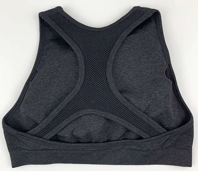 Padded Yoga Seamless Workout Push Up Sports Bra