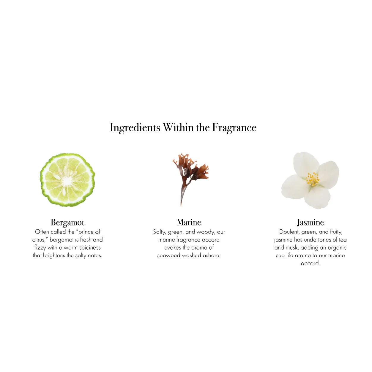 Pura Marine Fragrance Refill
